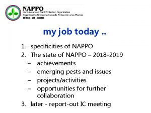 my job today 1 specificities of NAPPO 2