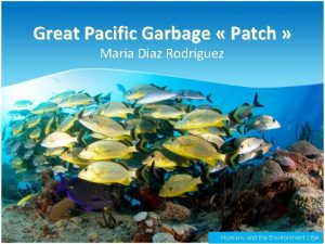 Great Pacific Garbage Patch Maria Diaz Rodriguez Humans