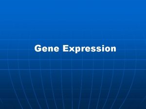 Gene Expression Gene expression 1 Biological processes such