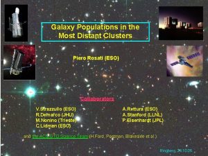 Galaxy Populations in the Most Distant Clusters Piero