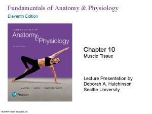 Fundamentals of Anatomy Physiology Eleventh Edition Chapter 10