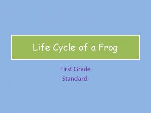 Life Cycle of a Frog First Grade Standard