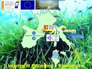 Posidonia Interreg III B Medocc Posidonia OBJECTIFS et