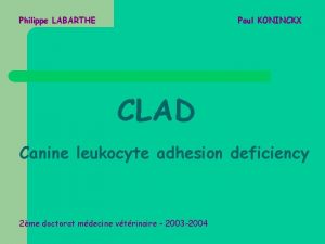 Philippe LABARTHE Paul KONINCKX CLAD Canine leukocyte adhesion