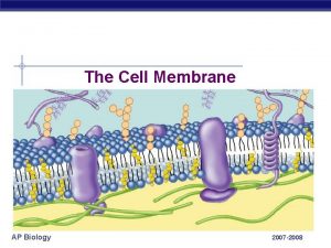 The Cell Membrane AP Biology 2007 2008 Phospholipids