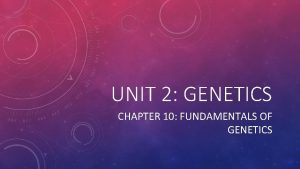 UNIT 2 GENETICS CHAPTER 10 FUNDAMENTALS OF GENETICS