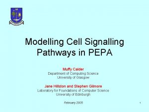Modelling Cell Signalling Pathways in PEPA Muffy Calder