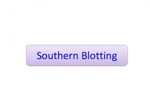Southern Blotting Southern blotting was invented by Edwin