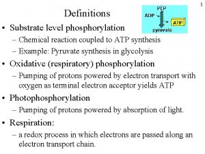 1 Definitions Substrate level phosphorylation Chemical reaction coupled