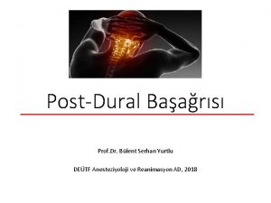 PostDural Baars Prof Dr Blent Serhan Yurtlu DETF