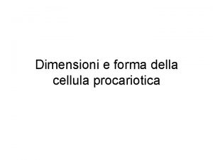 Dimensioni e forma della cellula procariotica batteri giganti