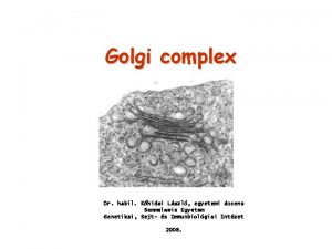 Golgi complex Dr habil Khidai Lszl egyetemi docens