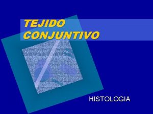 TEJIDO CONJUNTIVO HISTOLOGIA ACLARACION Los contenidos de este