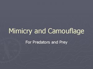 Mimicry and Camouflage For Predators and Prey Mimicry