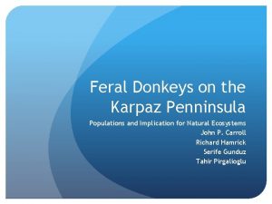 Feral Donkeys on the Karpaz Penninsula Populations and