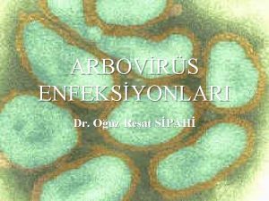 ARBOVRS ENFEKSYONLARI Dr Ouz Reat SPAH ARBOVRSLER n