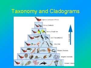 Taxonomy and Cladograms Taxonomy Definition is the grouping