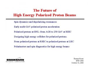 The Future of High Energy Polarized Proton Beams