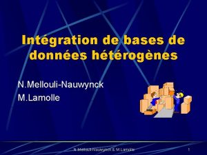 Intgration de bases de donnes htrognes N MellouliNauwynck