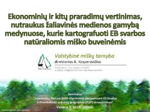 Ekonomini ir kit praradim vertinimas nutraukus aliavins medienos