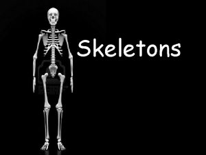 Skeletons Contents Page What is a skeleton How