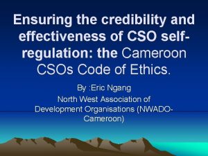 Ensuring the credibility and effectiveness of CSO selfregulation
