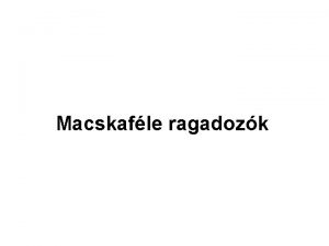 Macskafle ragadozk A macskaflk jellemzi A ragadoz emlsk