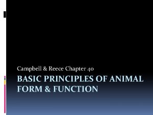 Campbell Reece Chapter 40 BASIC PRINCIPLES OF ANIMAL