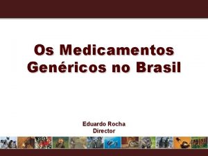 Os Medicamentos Genricos no Brasil Eduardo Rocha Director