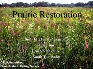 Prairie Restoration ENTS 110 Final Presentation Ben Lum
