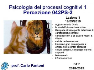 Psicologia dei processi cognitivi 1 Percezione 042 PS2