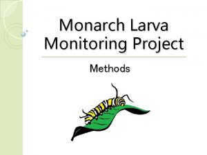 Monarch Larva Monitoring Project Methods Research and Monitoring