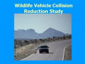 Wildlife Vehicle Collision Reduction Study Why This Study