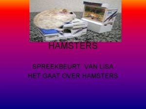 HAMSTERS SPREEKBEURT VAN LISA HET GAAT OVER HAMSTERS