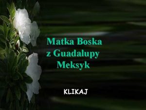 Matka Boska z Guadalupy Meksyk KLIKAJ Ciekawe odkrycia