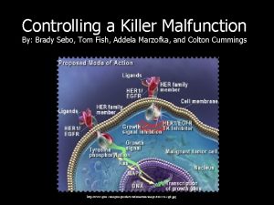 Controlling a Killer Malfunction By Brady Sebo Tom