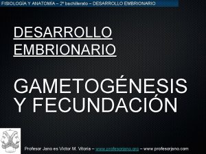 FISIOLOGA Y ANATOMA 2 bachillerato DESARROLLO EMBRIONARIO GAMETOGNESIS