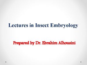 Lectures in Insect Embryology Prepared by Dr Ebrahim