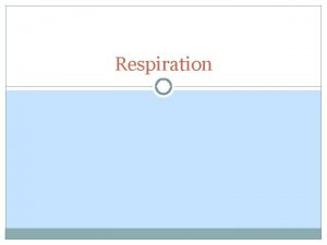 Respiration Respiration is using food to release energy