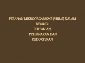 PERANAN MIKROORGANISME VIRUS DALAM BIDANG PERTANIAN PETERNAKAN DAN