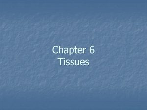 Chapter 6 Tissues Principal Types of Tissue Four