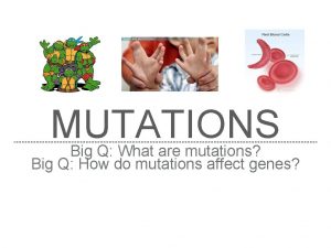 MUTATIONS Big Q What are mutations Big Q