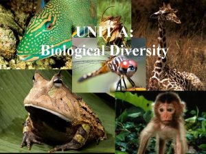 UNIT A Biological Diversity Preserving Biological Diversity Y