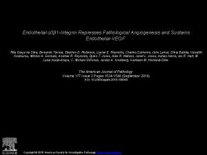 Endothelial 3 1 Integrin Represses Pathological Angiogenesis and