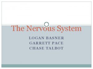 The Nervous System LOGAN BASNER GARRETT PACE CHASE