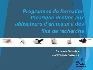 Programme de formation thorique destin aux utilisateurs danimaux