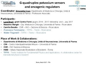 Gquadruplex potassium sensors and oncogenic regulators Coordinator Simonetta