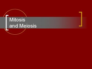 Mitosis and Meiosis Mitosis Cell Division n In
