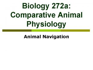 Biology 272 a Comparative Animal Physiology Animal Navigation