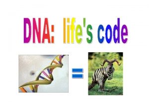 DNA KEY TERMS DNA NITROGEN BASE NUCLEOTIDE REPLICATION